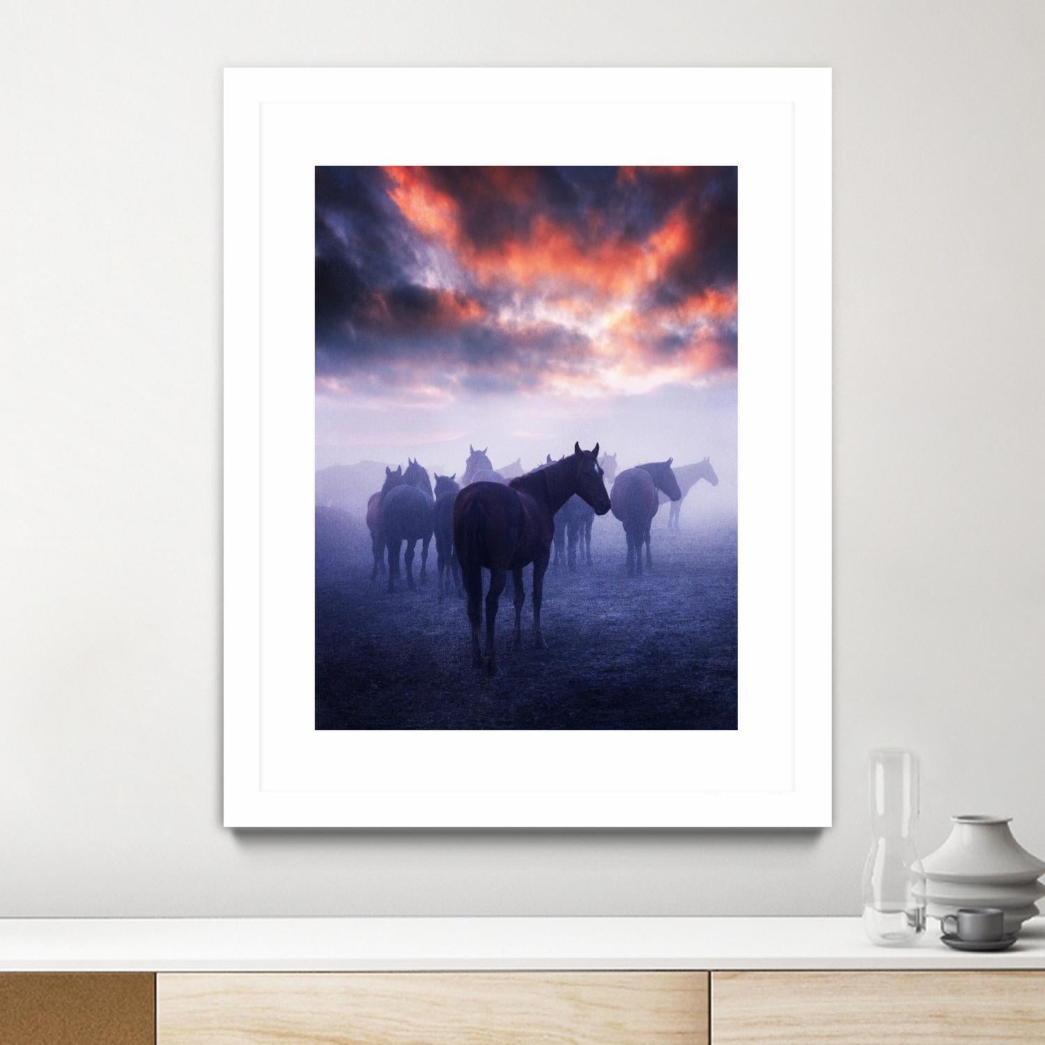 Cevik - Wild Horses by 1X on GIANT ART - pink animals