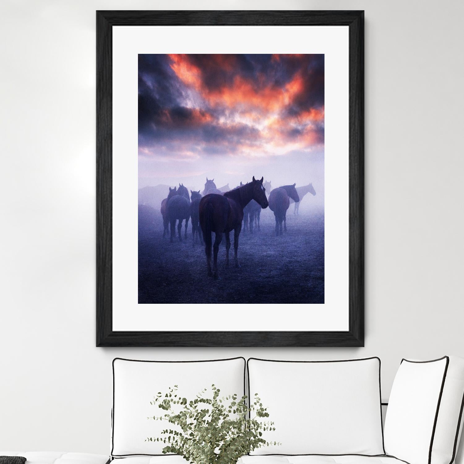 Cevik - Wild Horses by 1X on GIANT ART - pink animals