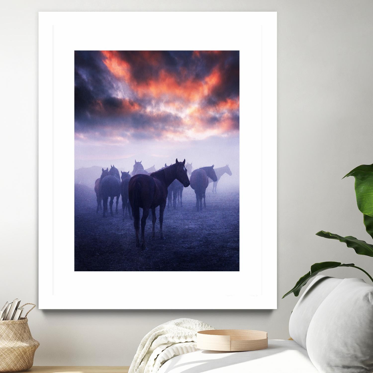 Cevik - Wild Horses by 1X on GIANT ART - pink animals