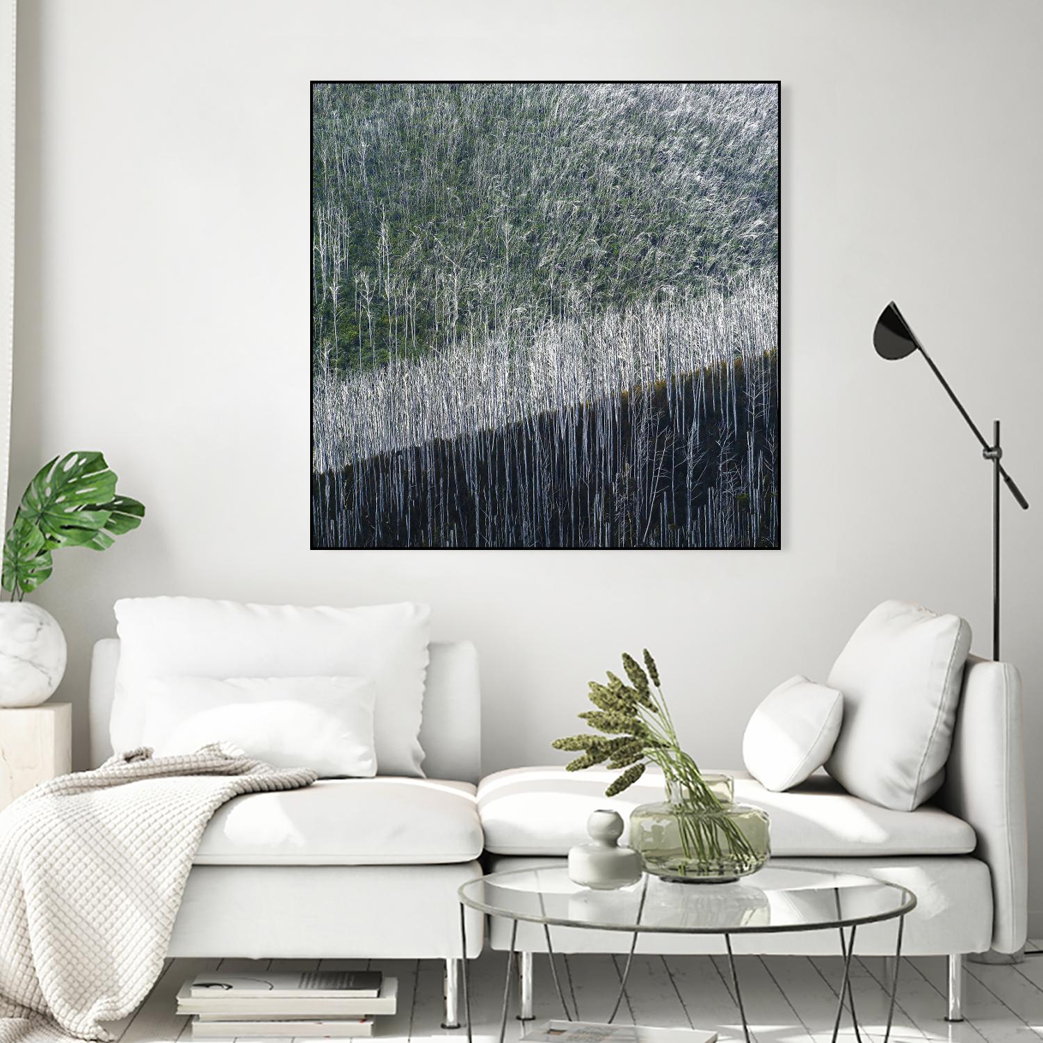 Coming back to life by 1X 1X on GIANT ART - black trees