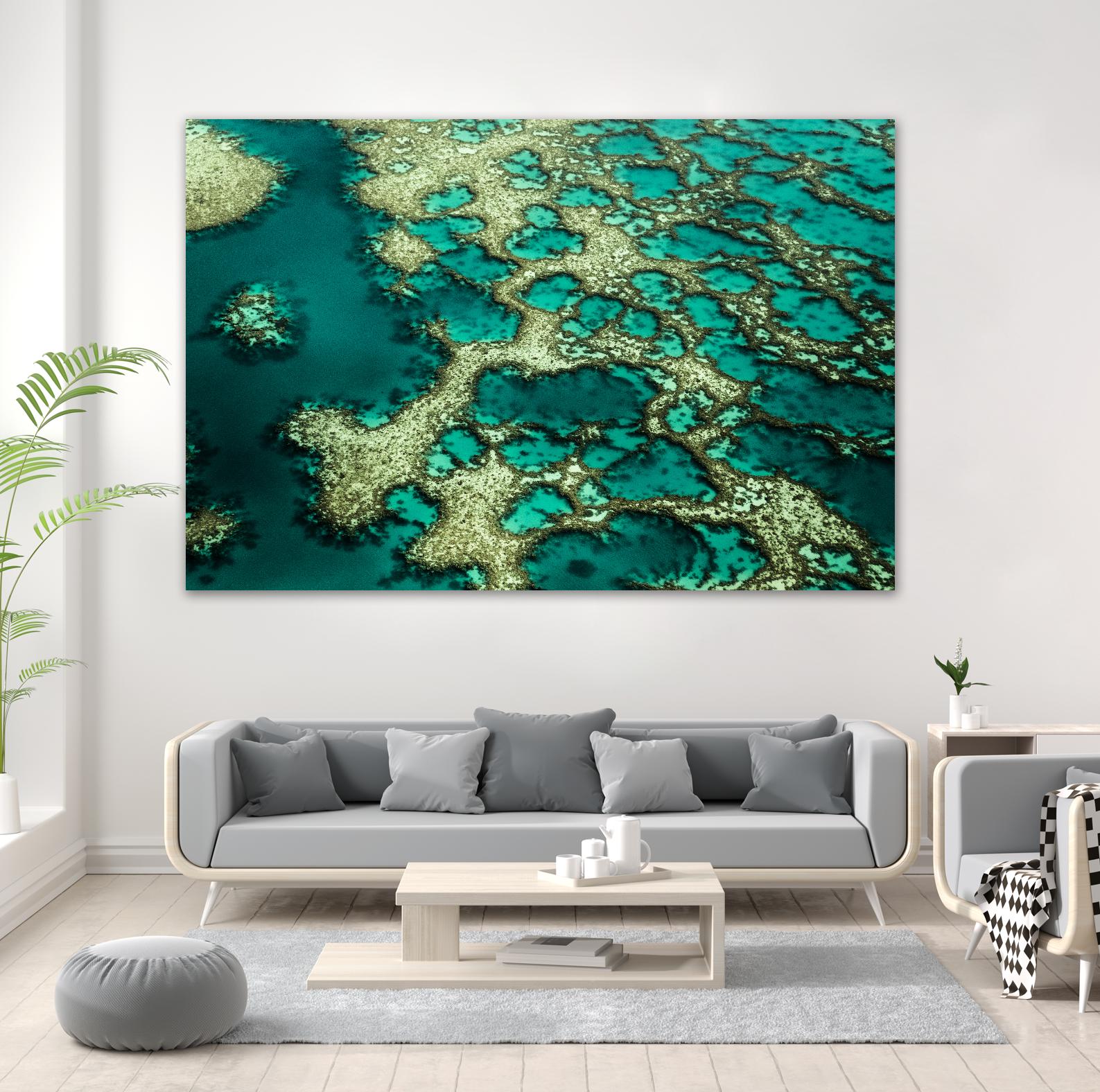 Wrobel - Gondwana by 1X on GIANT ART - green photo art