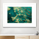 Wrobel - Gondwana by 1X on GIANT ART - green photo art