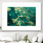 Wrobel - Gondwana by 1X on GIANT ART - green photo art