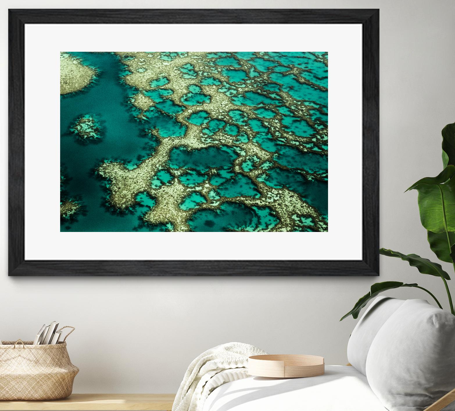 Wrobel - Gondwana by 1X on GIANT ART - green photo art