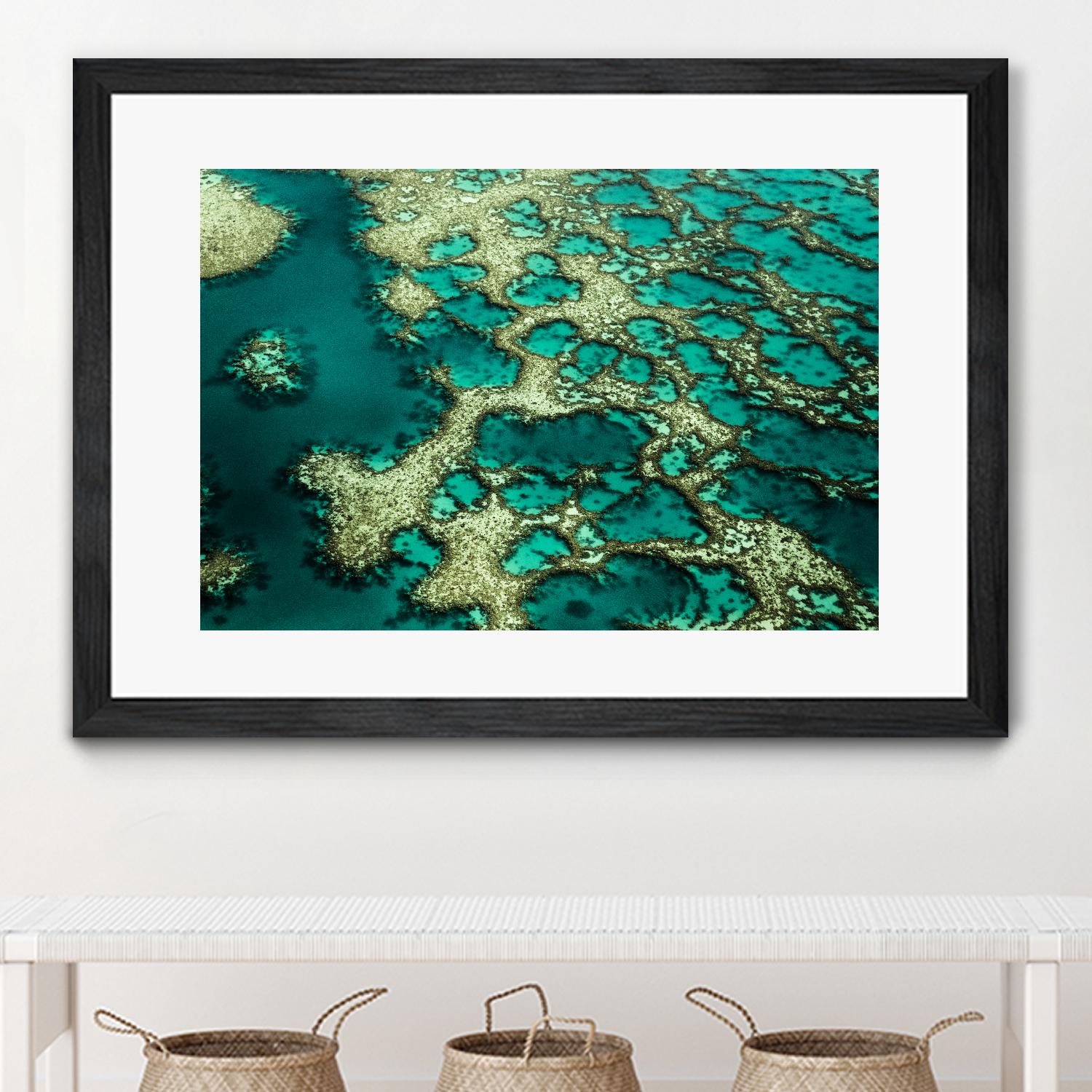 Wrobel - Gondwana by 1X on GIANT ART - green photo art