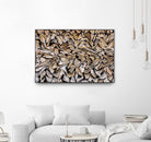 Pearson - Against The Grain by 1X on GIANT ART - beige photography wood