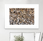 Pearson - Against The Grain by 1X on GIANT ART - beige photography wood