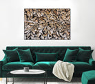 Pearson - Against The Grain by 1X on GIANT ART - beige photography wood
