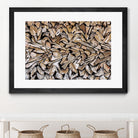 Pearson - Against The Grain by 1X on GIANT ART - beige photography wood