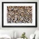 Pearson - Against The Grain by 1X on GIANT ART - beige photography wood