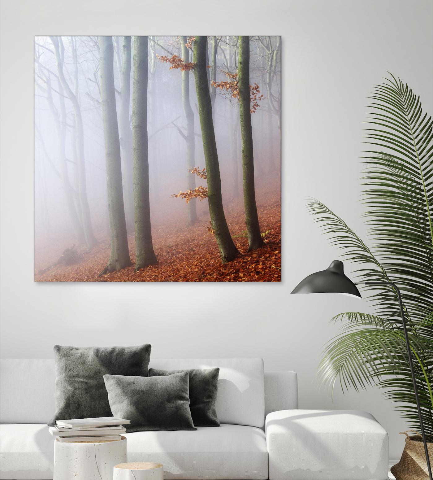 Fog by Popovsky 1X on GIANT ART - orange landscape