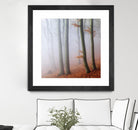 Fog by Popovsky 1X on GIANT ART - orange landscape