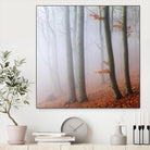 Fog by Popovsky 1X on GIANT ART - orange landscape