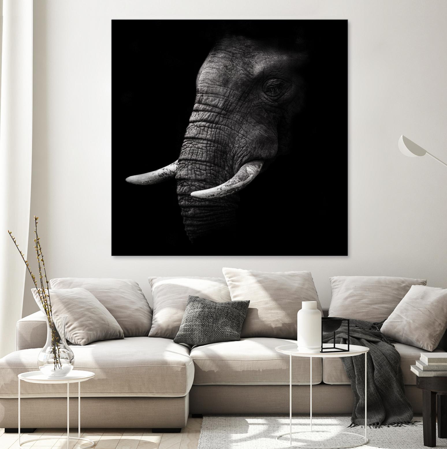 Portrait by WildPhotoArt on GIANT ART - white animal hear of elephant