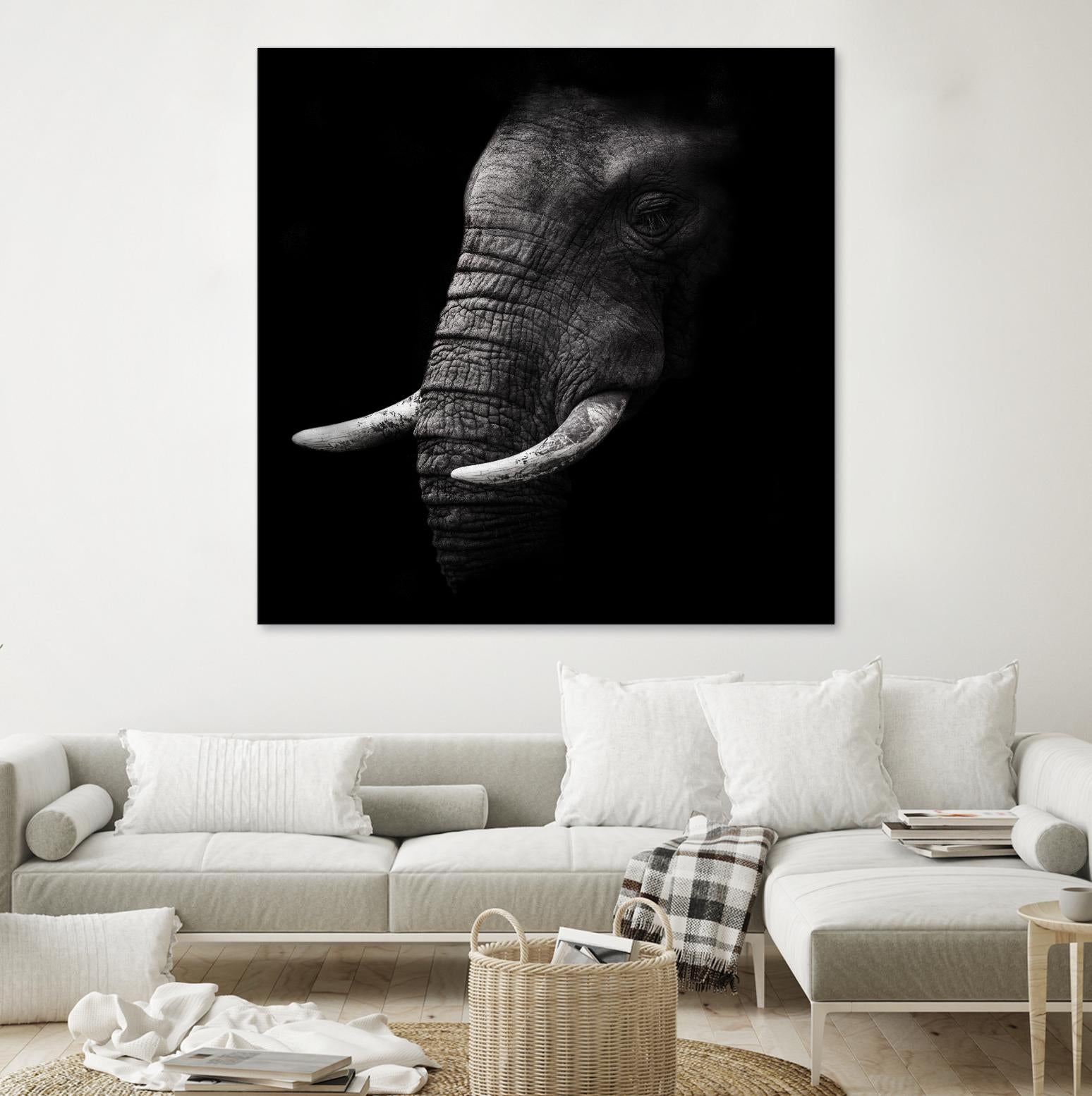 Portrait by WildPhotoArt on GIANT ART - white animal hear of elephant