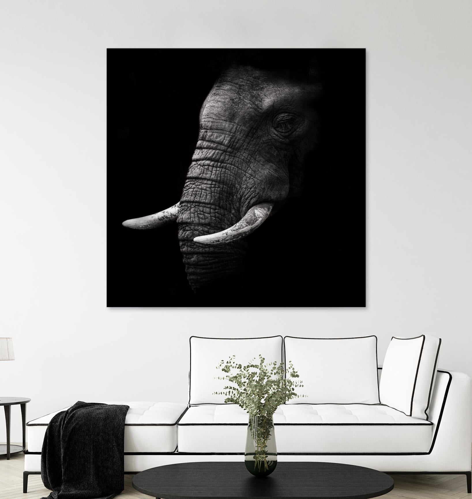 Portrait by WildPhotoArt on GIANT ART - white animal hear of elephant