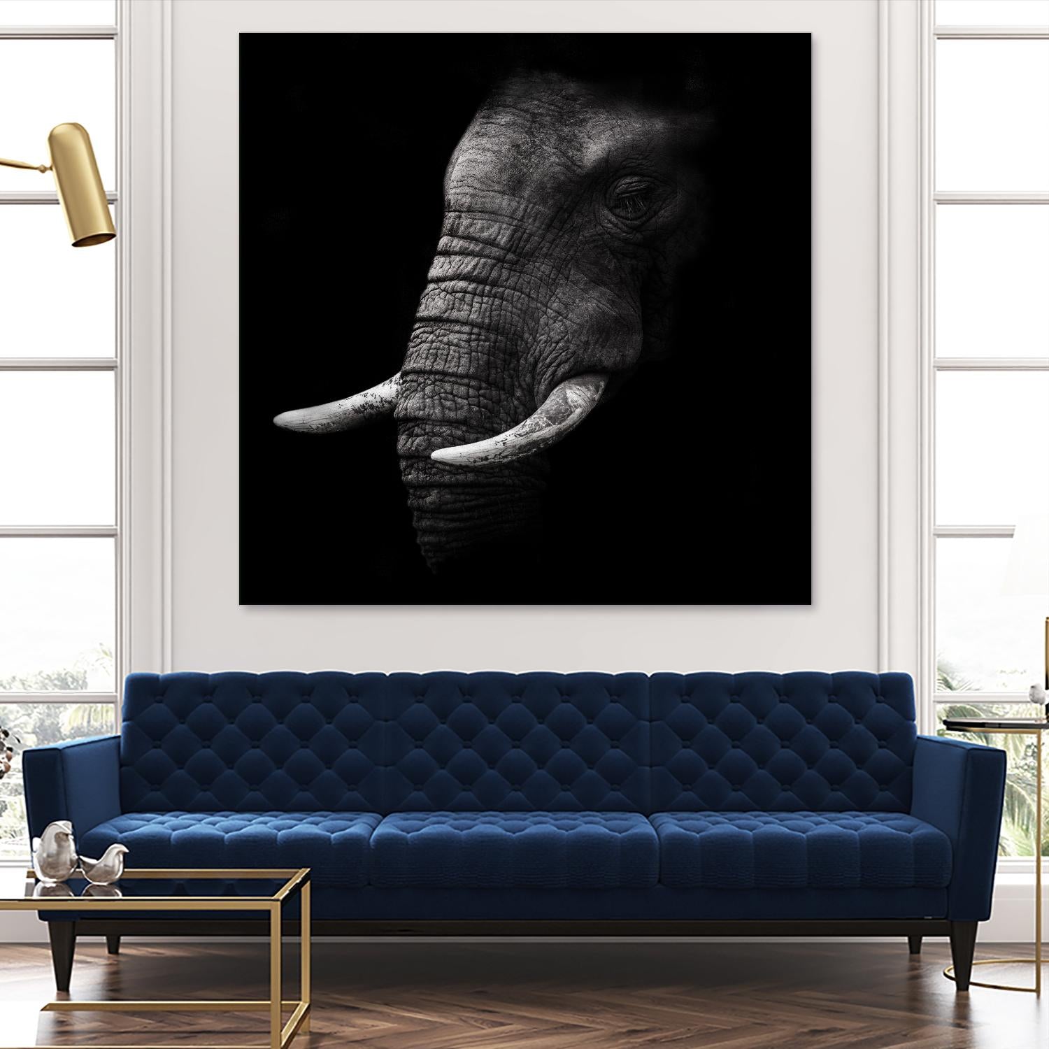 Portrait by WildPhotoArt on GIANT ART - white animal hear of elephant