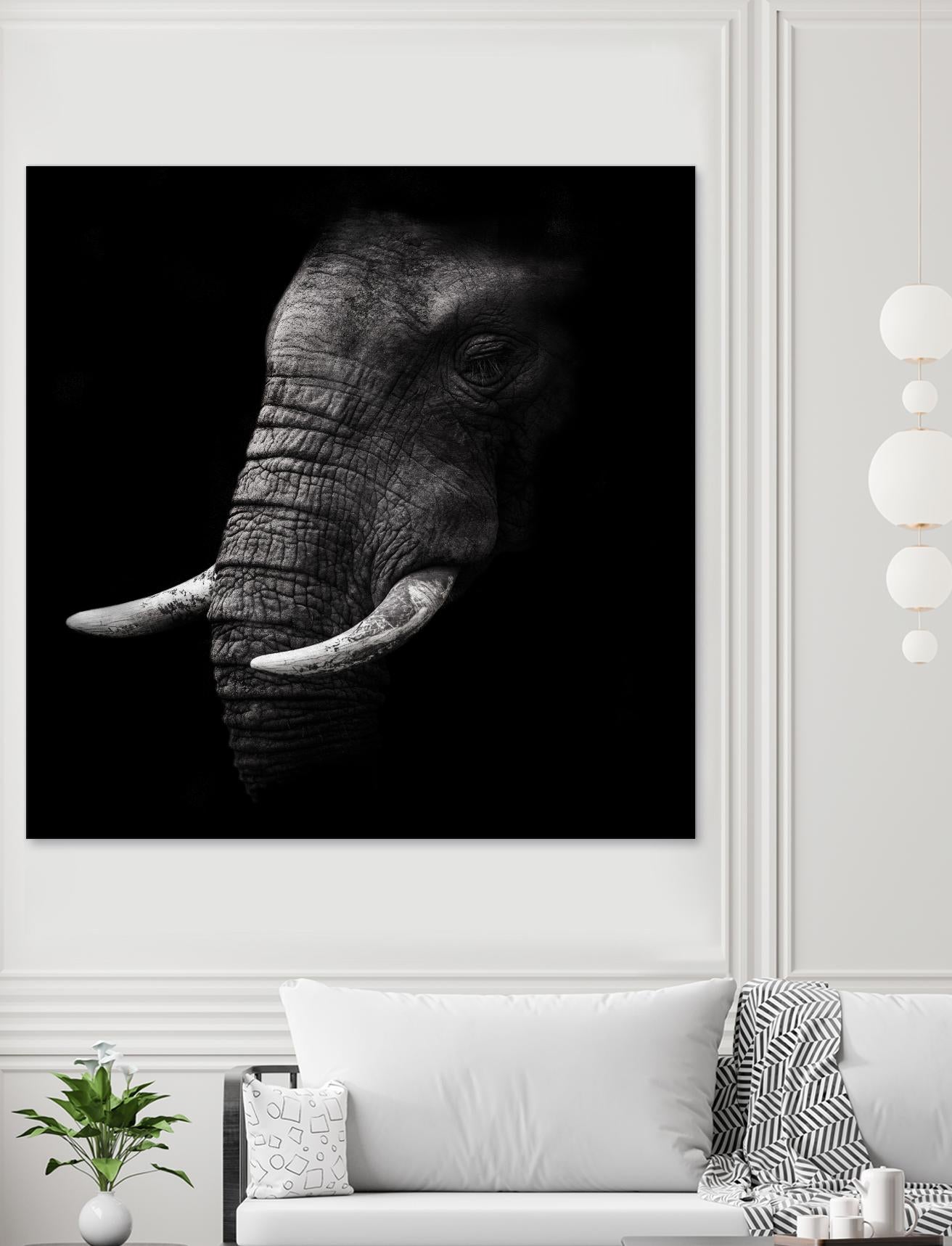 Portrait by WildPhotoArt on GIANT ART - white animal hear of elephant