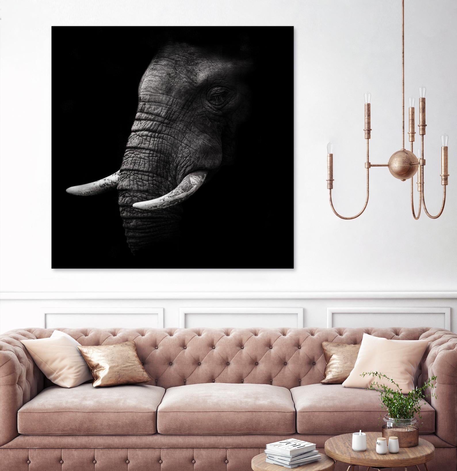 Portrait by WildPhotoArt on GIANT ART - white animal hear of elephant