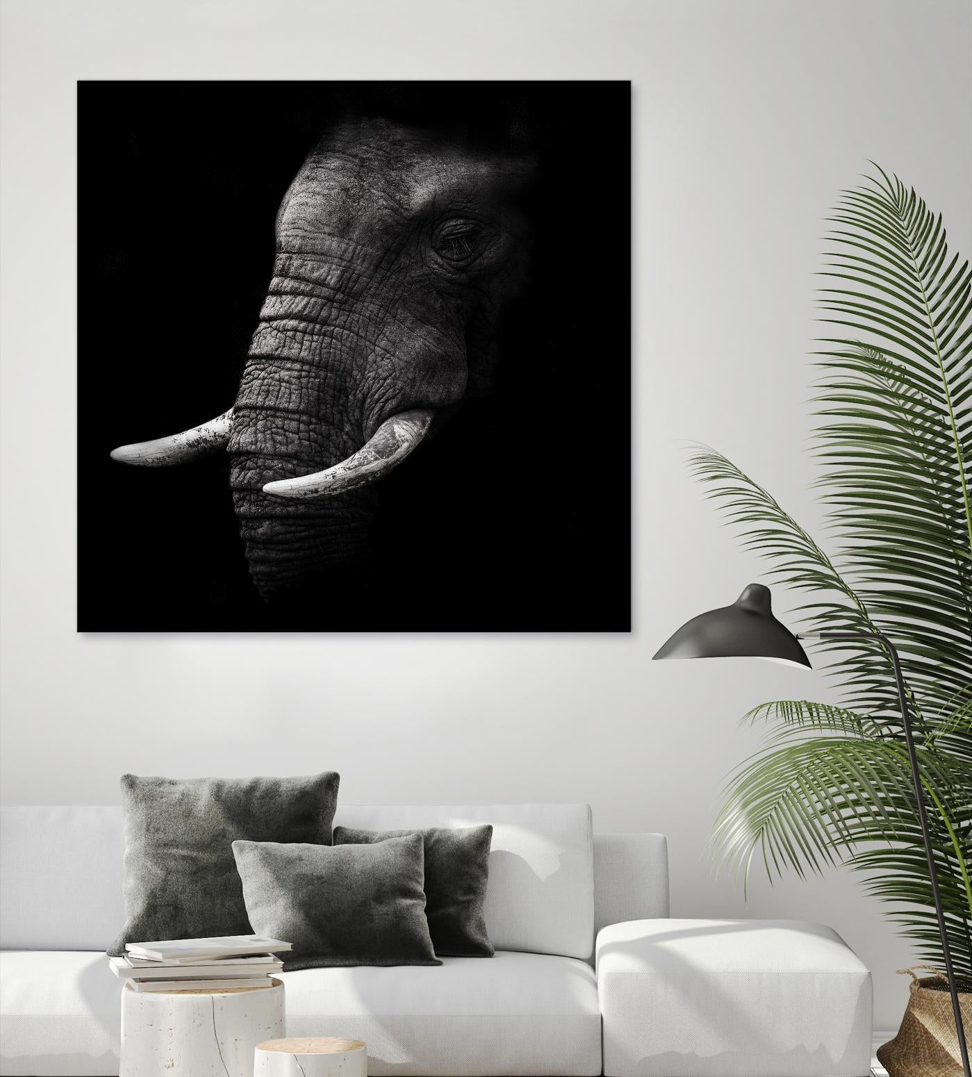 Portrait by WildPhotoArt on GIANT ART - white animal hear of elephant