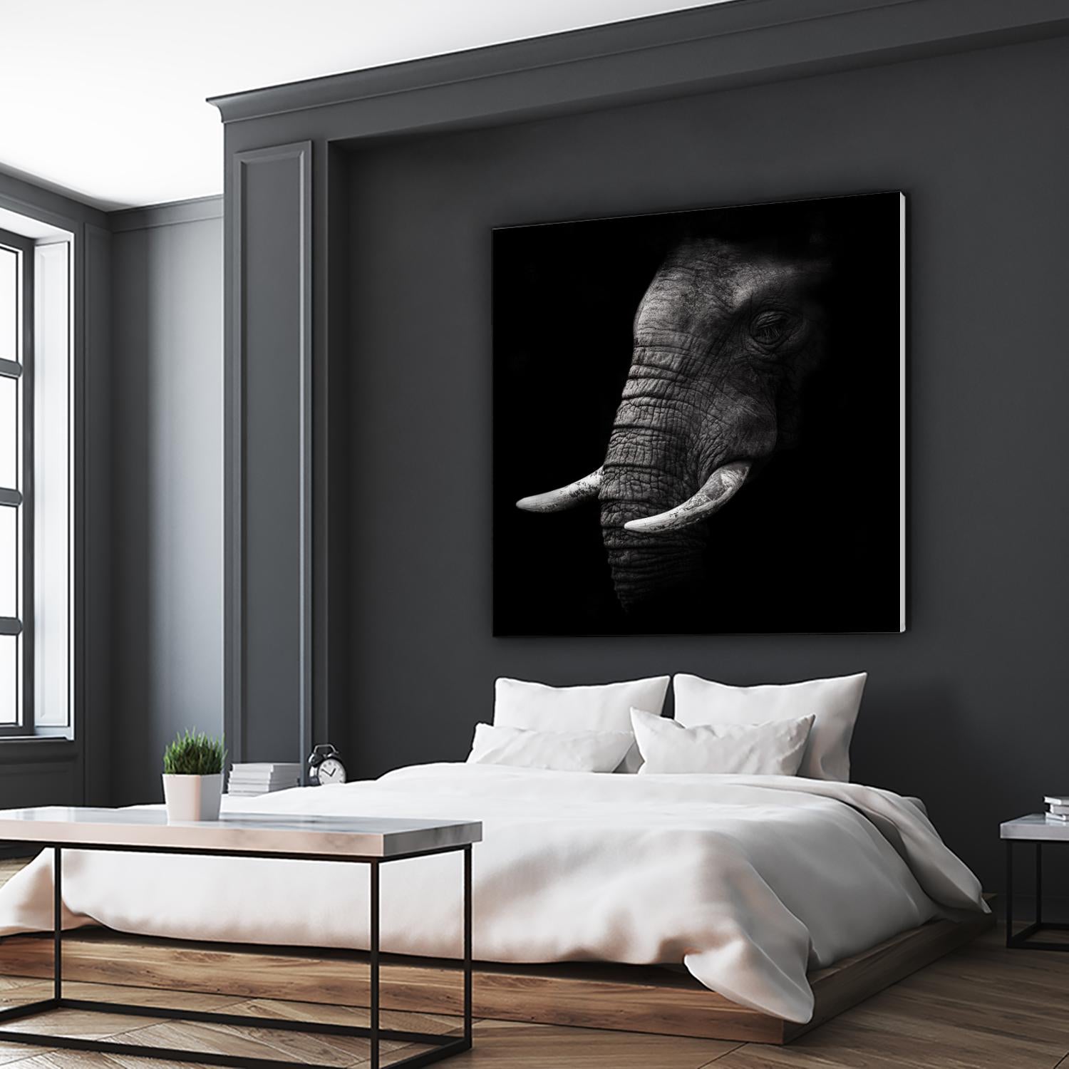 Portrait by WildPhotoArt on GIANT ART - white animal hear of elephant