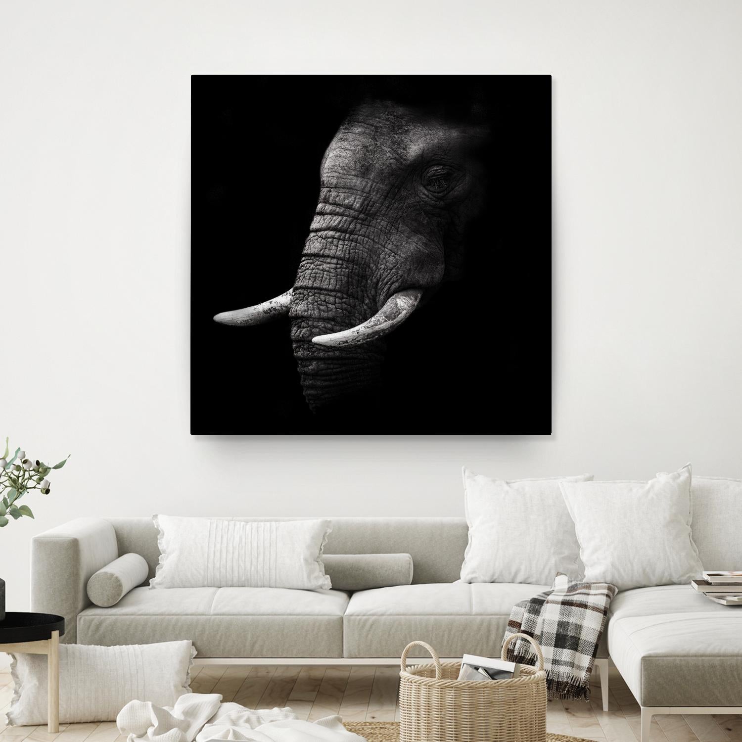Portrait by WildPhotoArt on GIANT ART - white animal hear of elephant