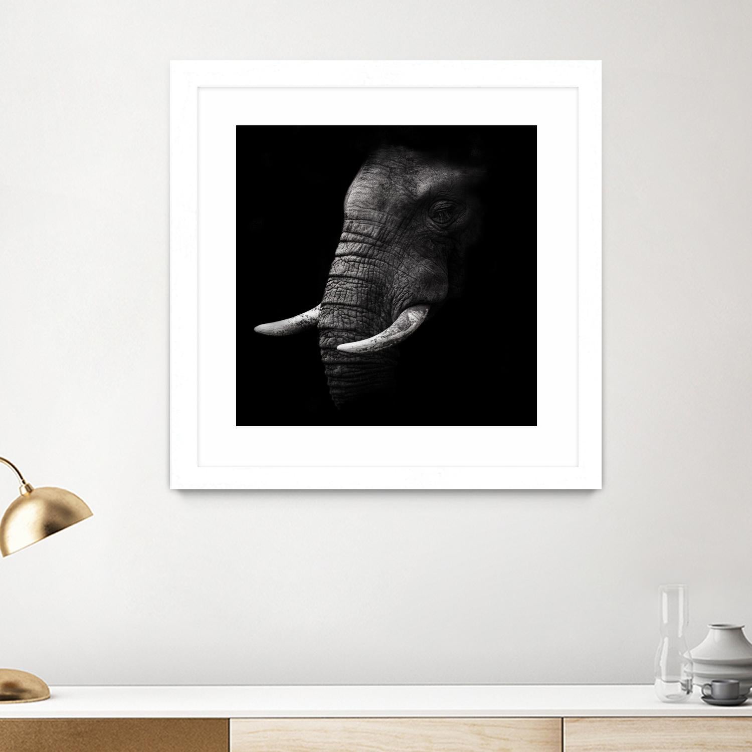 Portrait by WildPhotoArt on GIANT ART - white animal hear of elephant