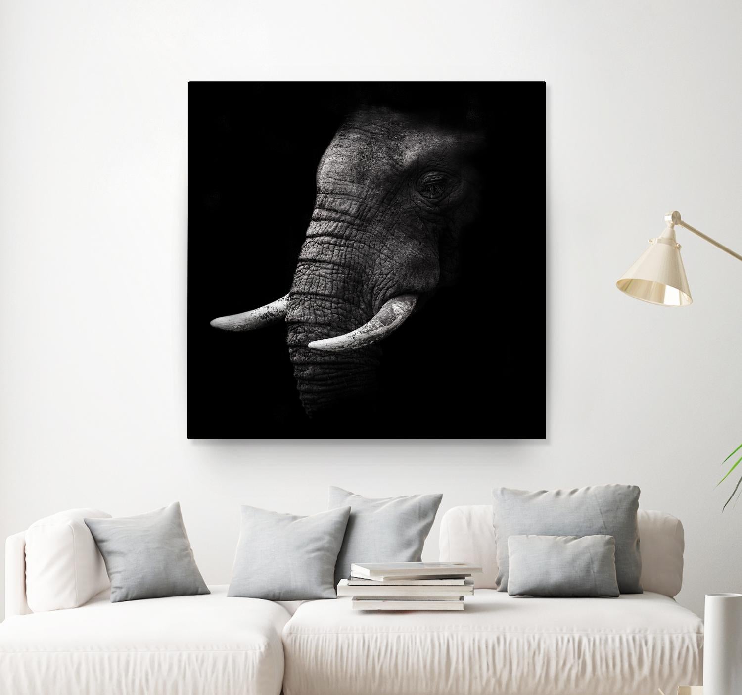 Portrait by WildPhotoArt on GIANT ART - white animal hear of elephant