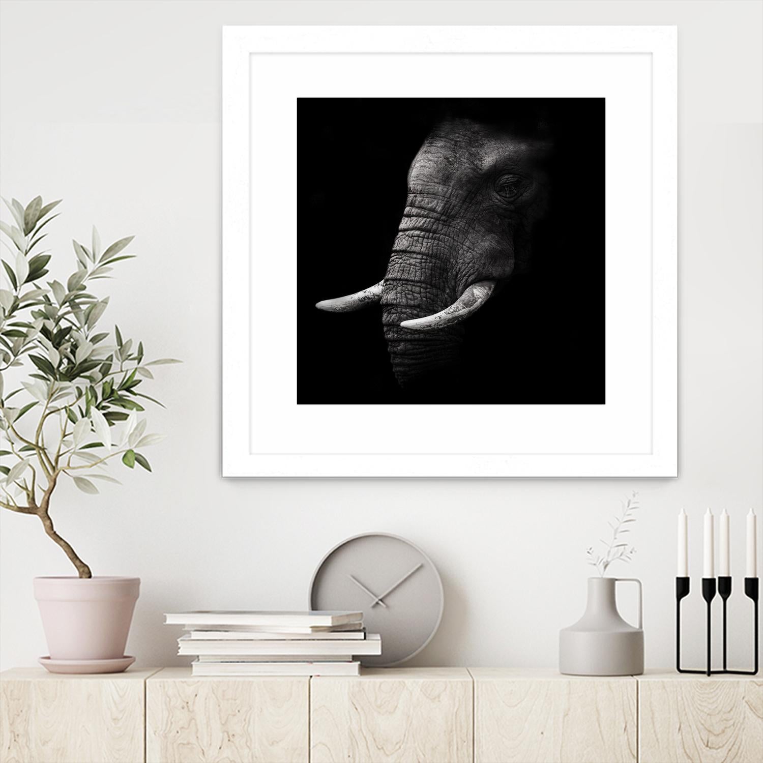 Portrait by WildPhotoArt on GIANT ART - white animal hear of elephant