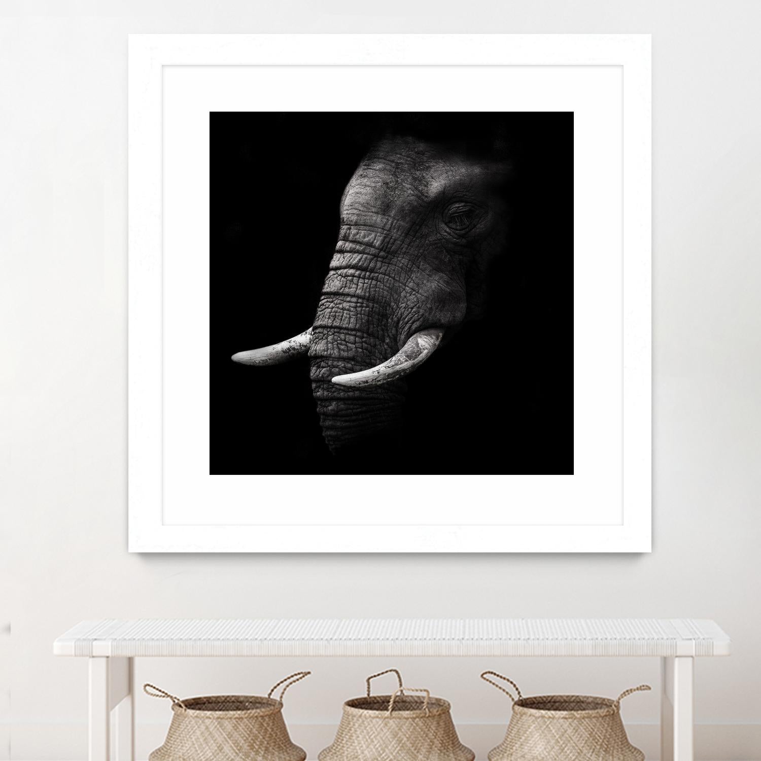 Portrait by WildPhotoArt on GIANT ART - white animal hear of elephant