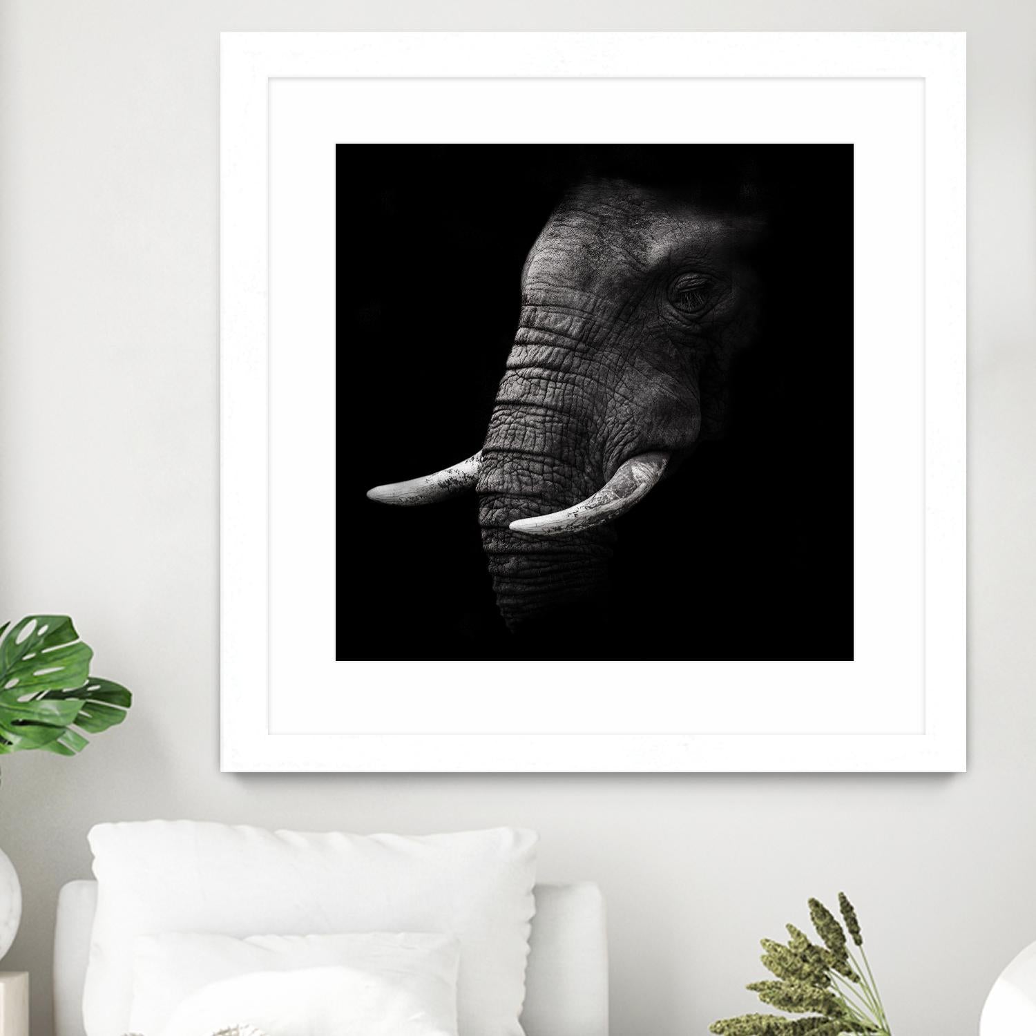 Portrait by WildPhotoArt on GIANT ART - white animal hear of elephant