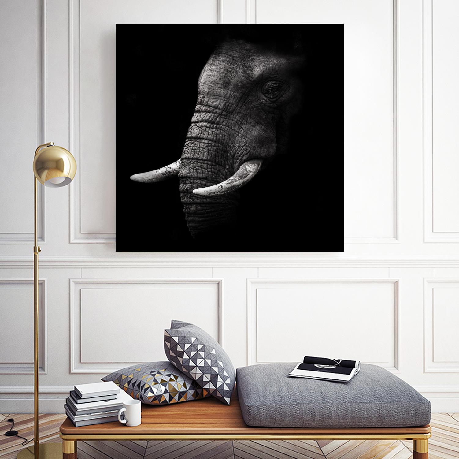 Portrait by WildPhotoArt on GIANT ART - white animal hear of elephant