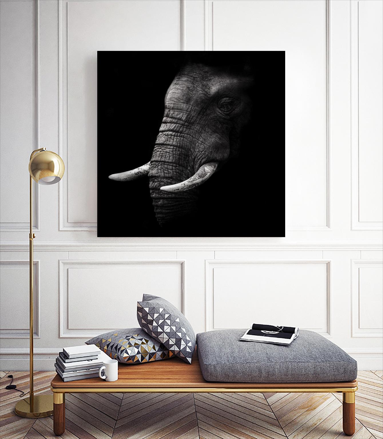 Portrait by WildPhotoArt on GIANT ART - white animal hear of elephant
