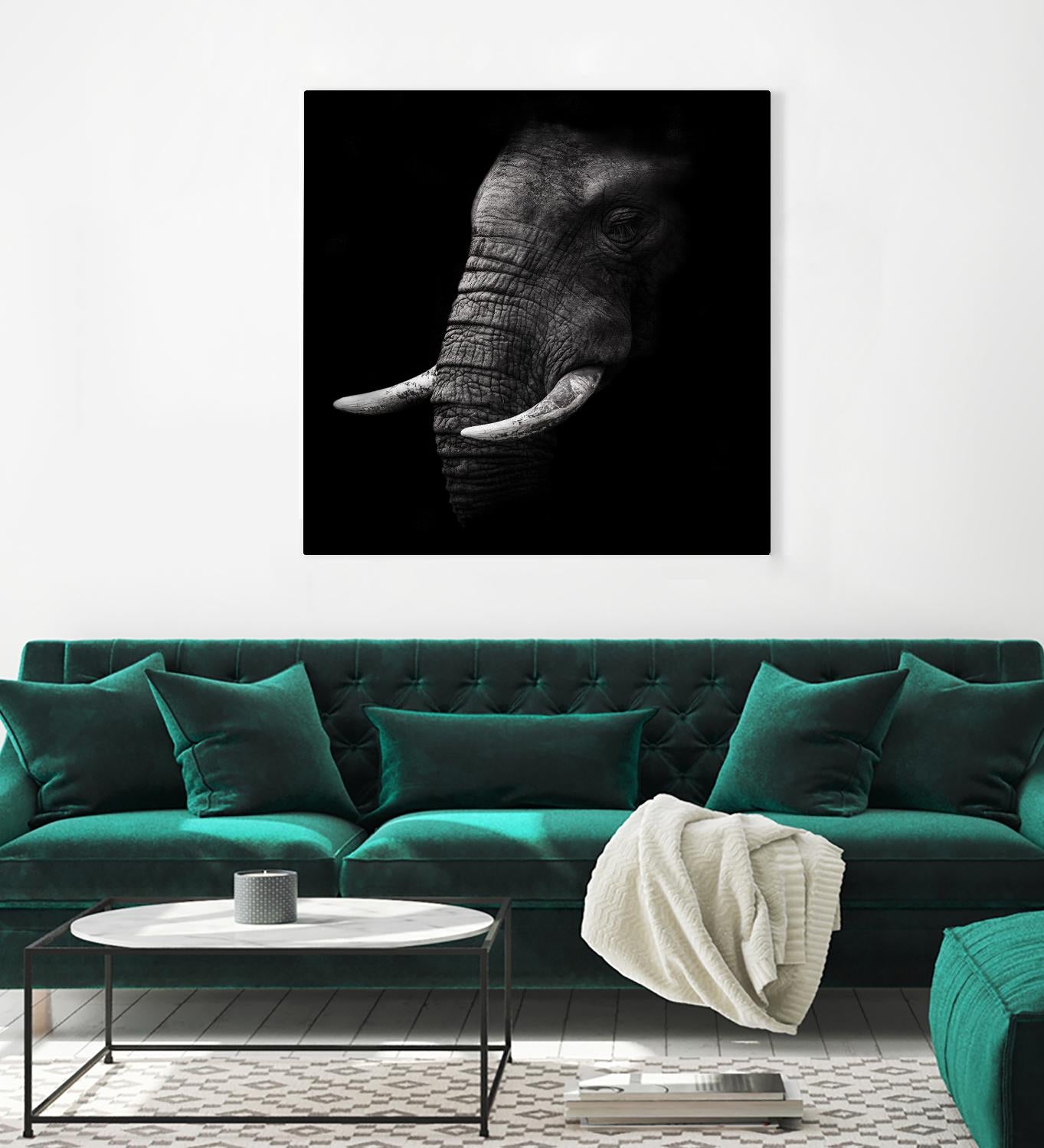 Portrait by WildPhotoArt on GIANT ART - white animal hear of elephant