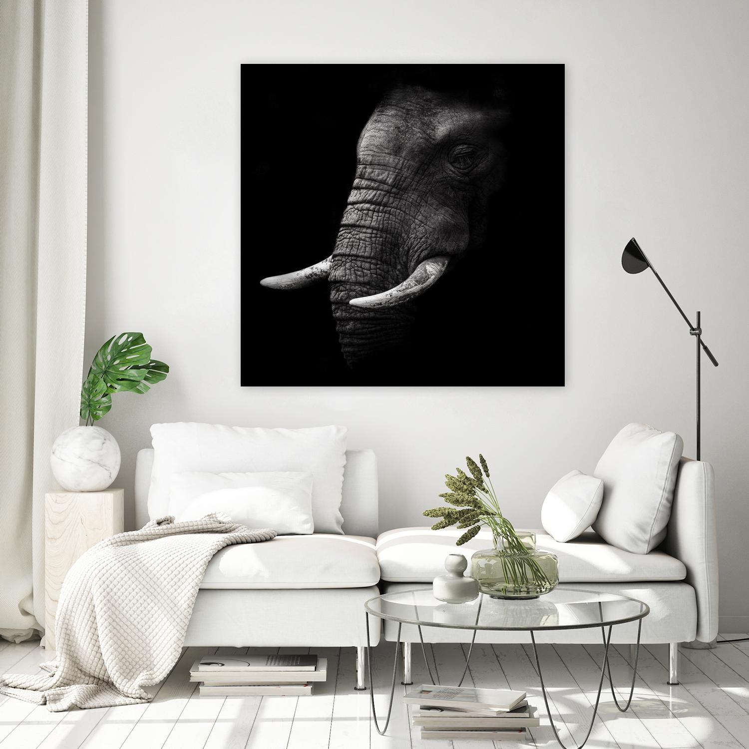 Portrait by WildPhotoArt on GIANT ART - white animal hear of elephant