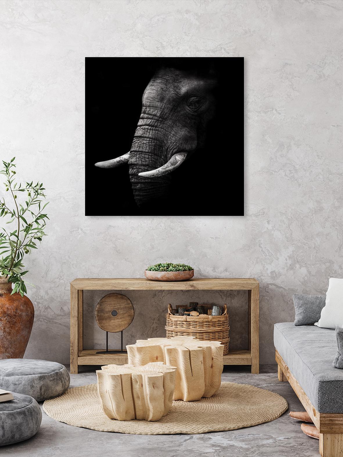 Portrait by WildPhotoArt on GIANT ART - white animal hear of elephant