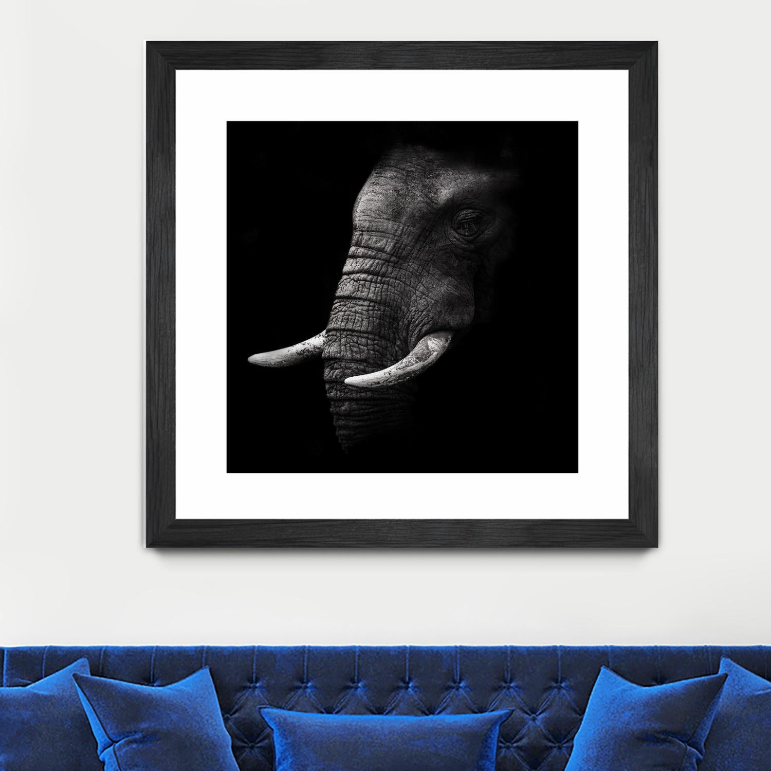 Portrait by WildPhotoArt on GIANT ART - white animal hear of elephant