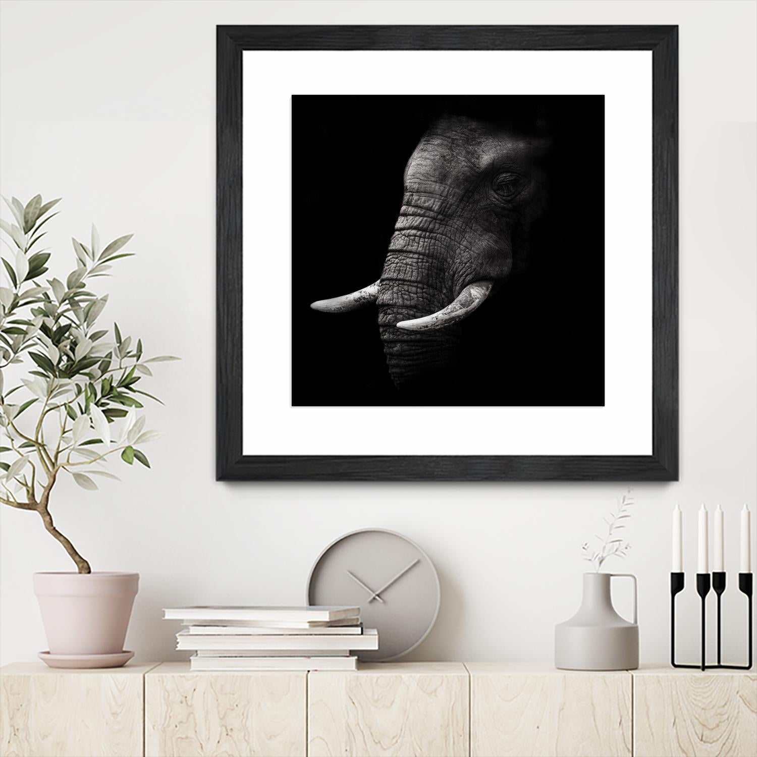 Portrait by WildPhotoArt on GIANT ART - white animal hear of elephant