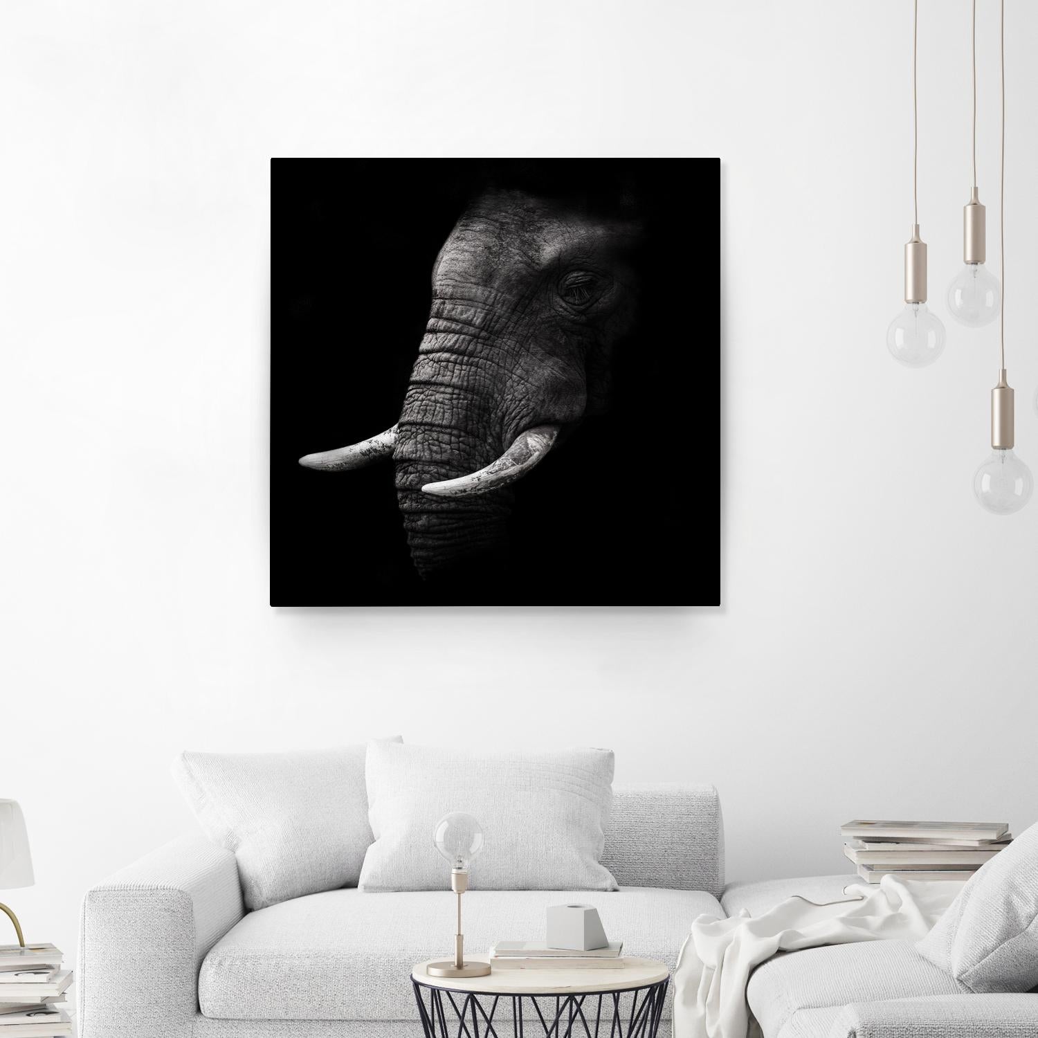 Portrait by WildPhotoArt on GIANT ART - white animal hear of elephant