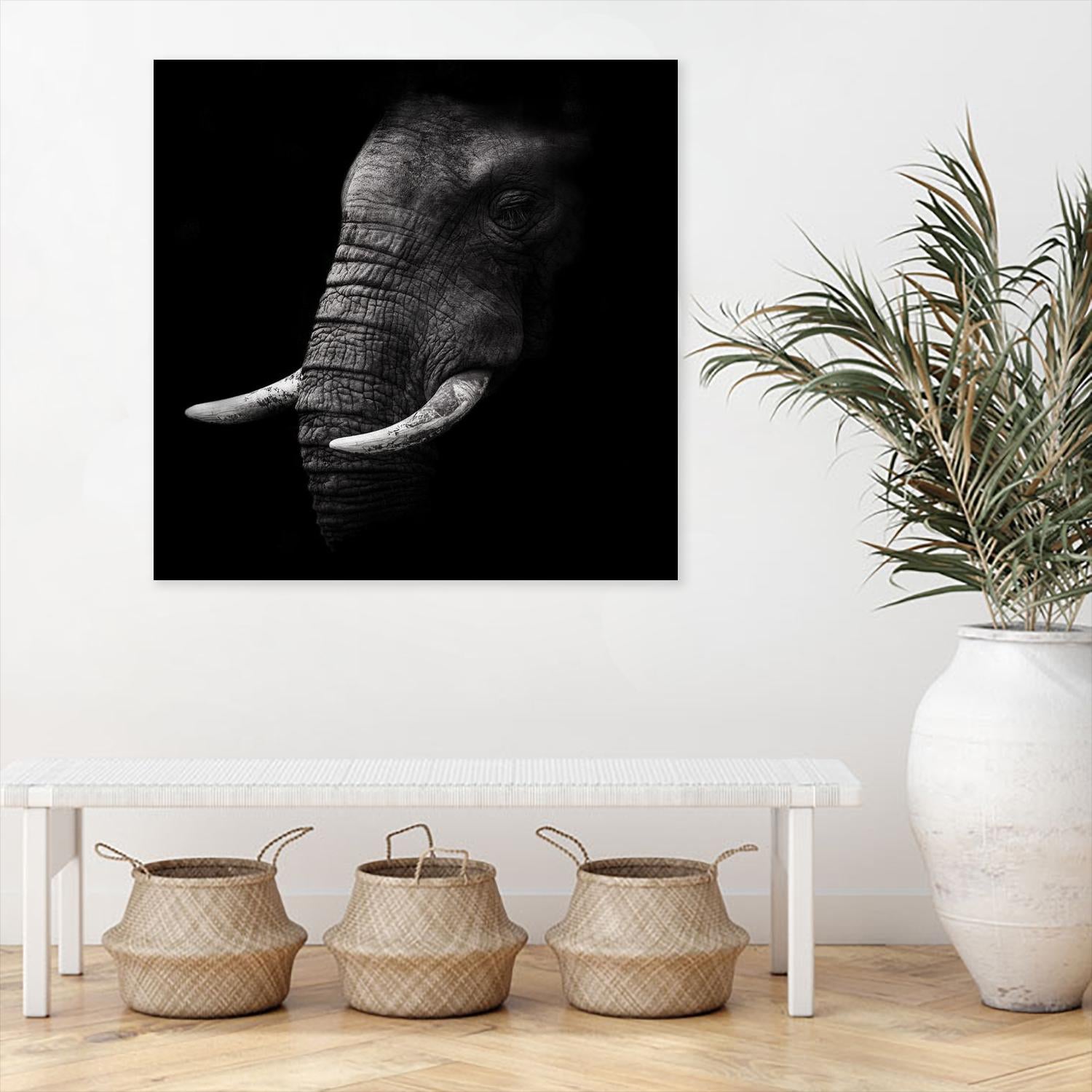 Portrait by WildPhotoArt on GIANT ART - white animal hear of elephant