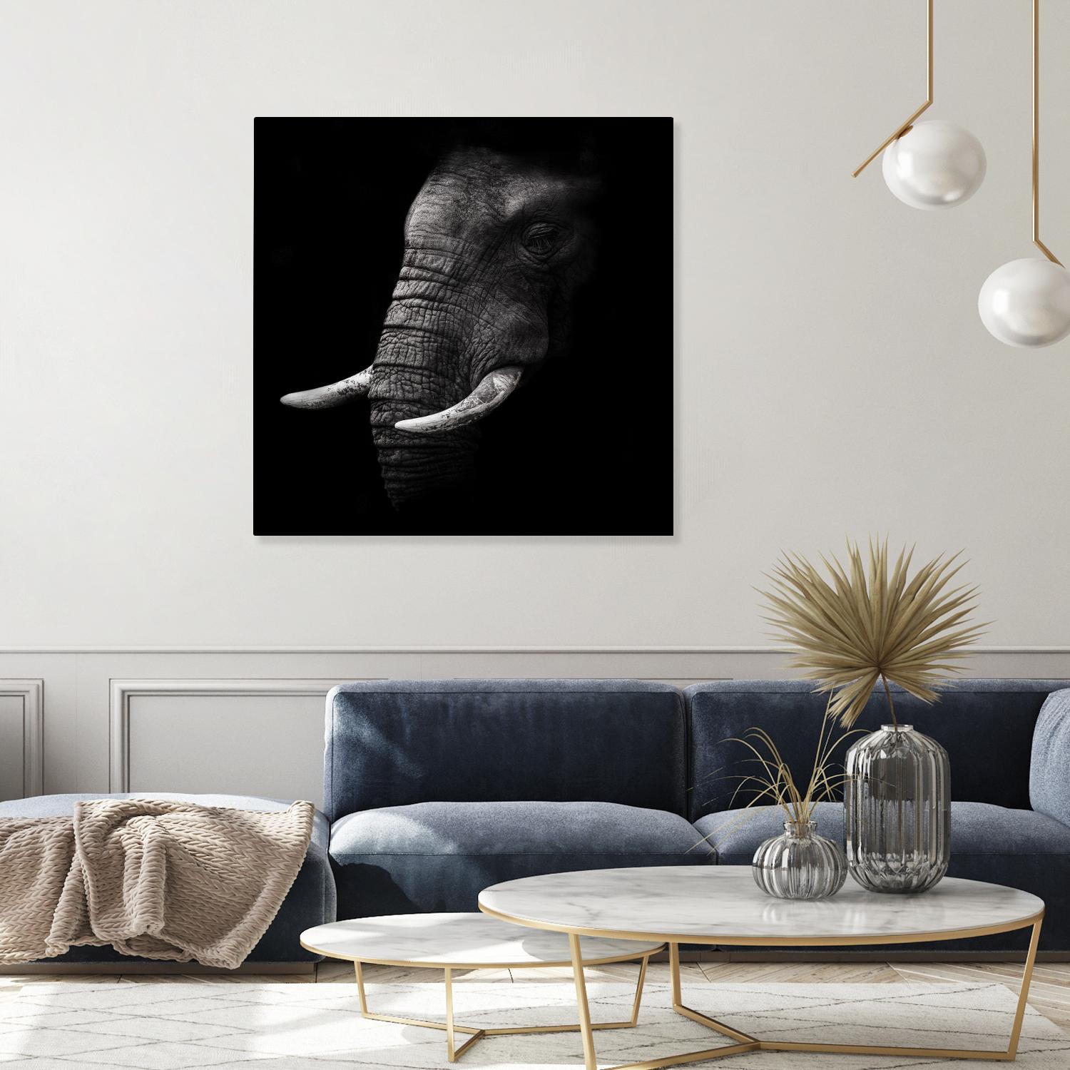 Portrait by WildPhotoArt on GIANT ART - white animal hear of elephant