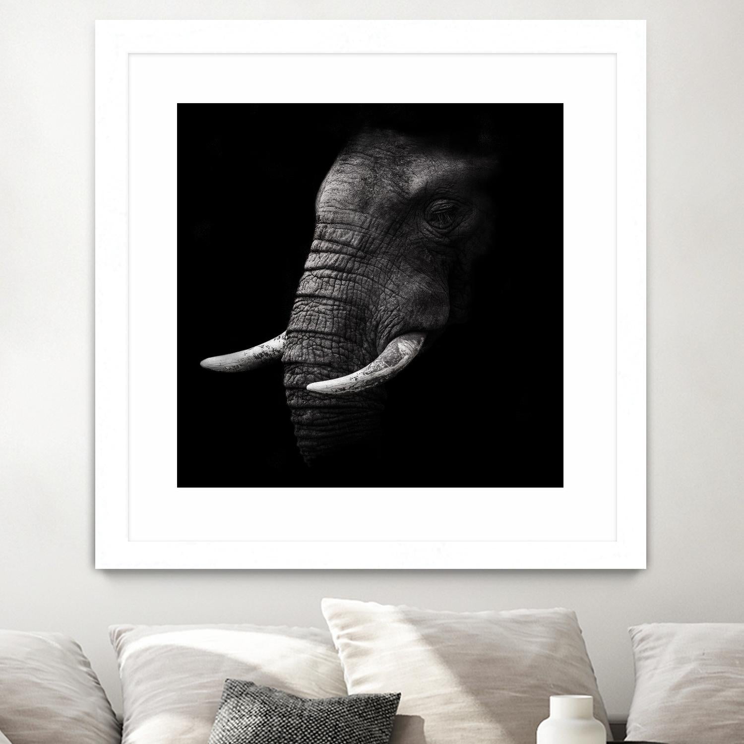 Portrait by WildPhotoArt on GIANT ART - white animal hear of elephant