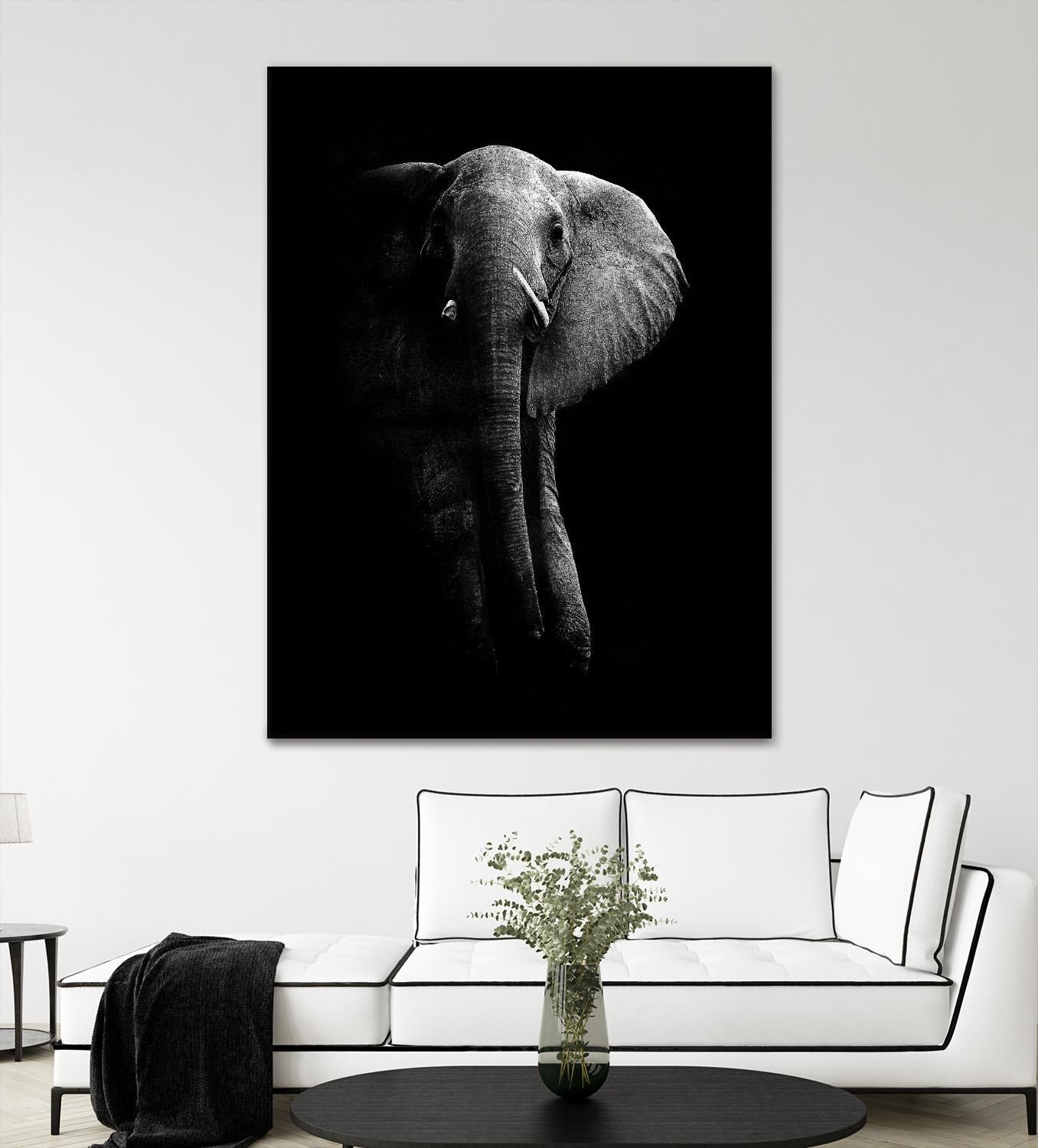 Elephant! by WildPhotoArt on GIANT ART - white black&white nature