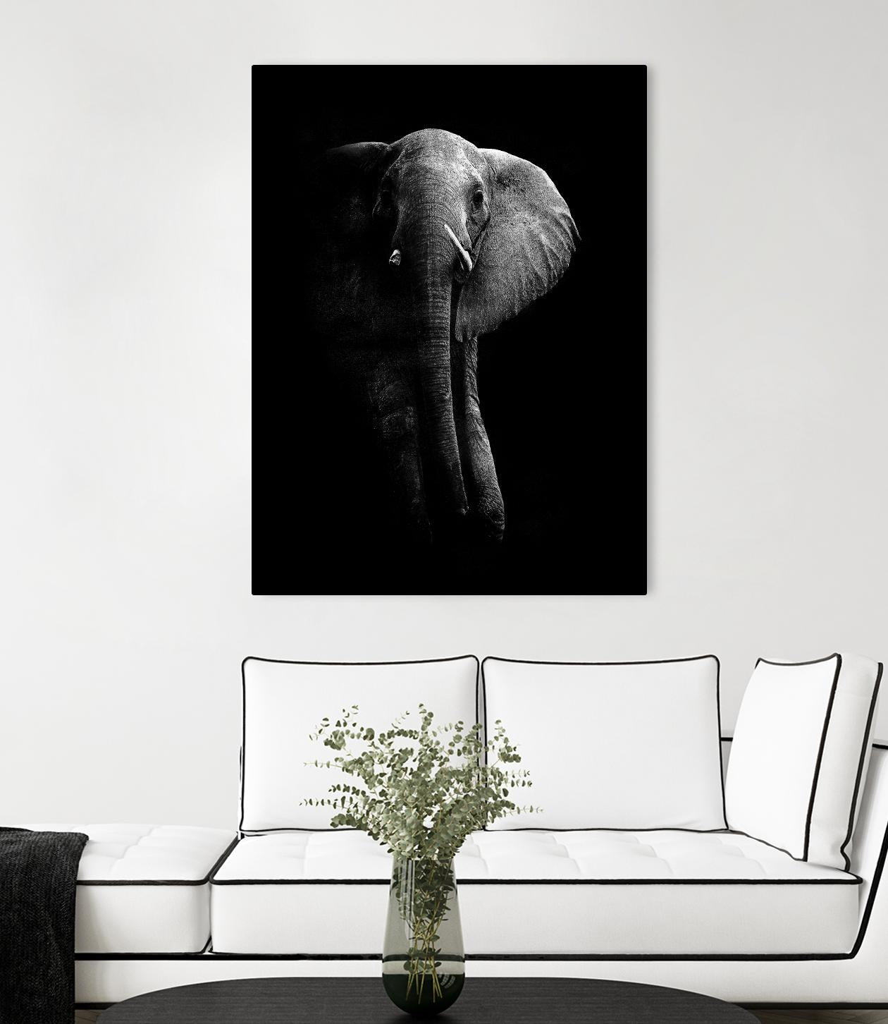 Elephant! by WildPhotoArt on GIANT ART - white black&white nature