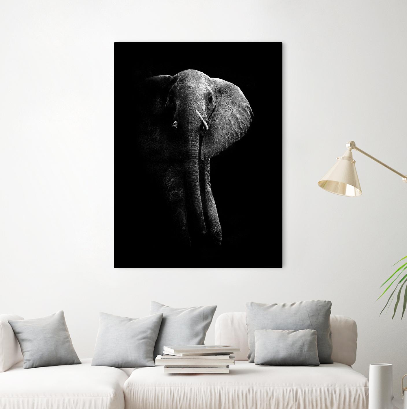 Elephant! by WildPhotoArt on GIANT ART - white black&white nature