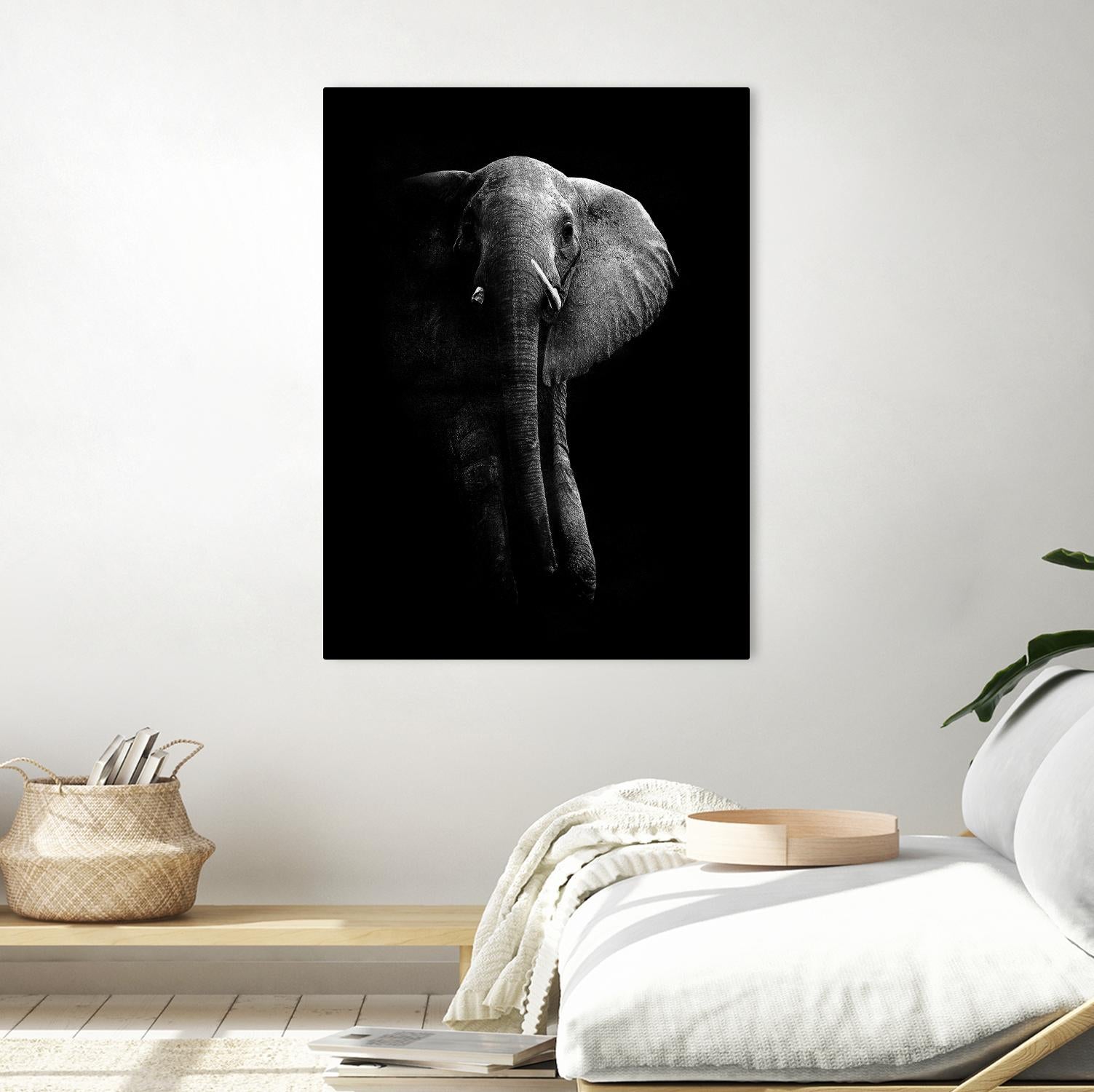 Elephant! by WildPhotoArt on GIANT ART - white black&white nature