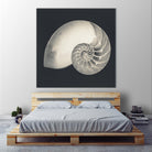 Shell I by YK Studio on GIANT ART - beige nautical