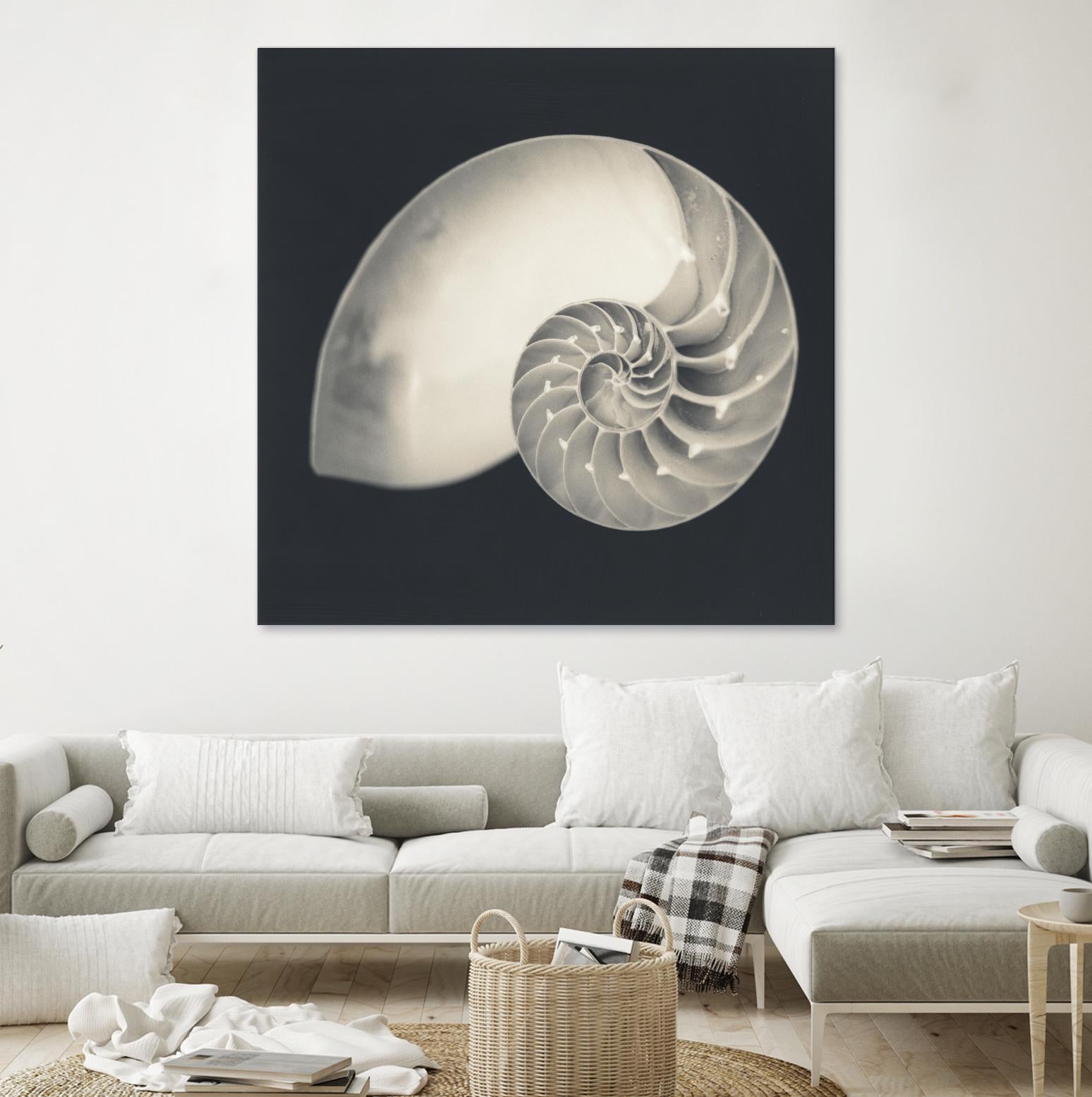 Shell I by YK Studio on GIANT ART - beige nautical