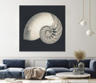 Shell I by YK Studio on GIANT ART - beige nautical