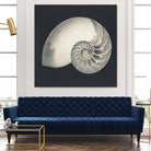Shell I by YK Studio on GIANT ART - beige nautical